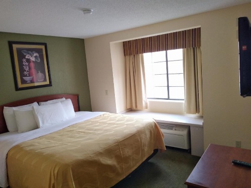Quality Inn & Suites image 7